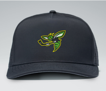 Duluth Heights - YAK Solid Breakaway Snapback YSH7000 with embroidered center Hornet