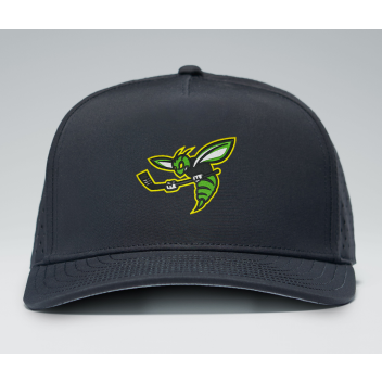Duluth Heights - YAK Solid Breakaway Snapback YSH7000 with embroidered center Hornet
