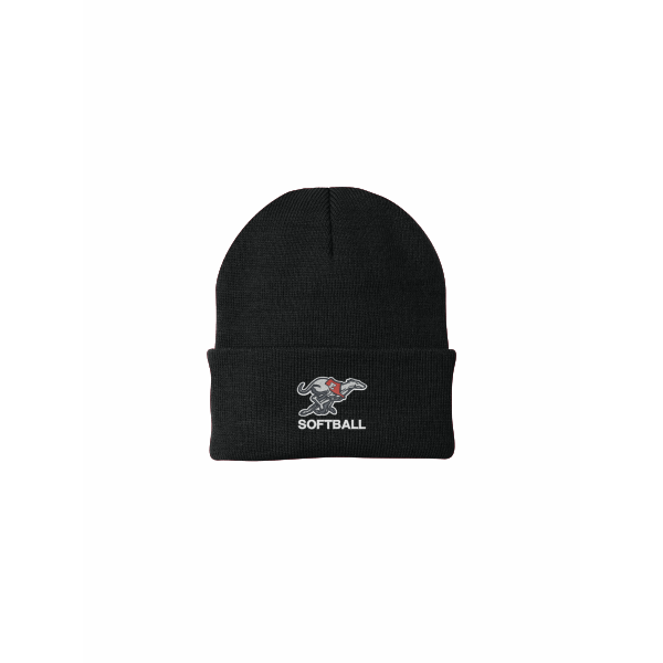 DE Softball - Knit Cap CP90 with embroidered logo