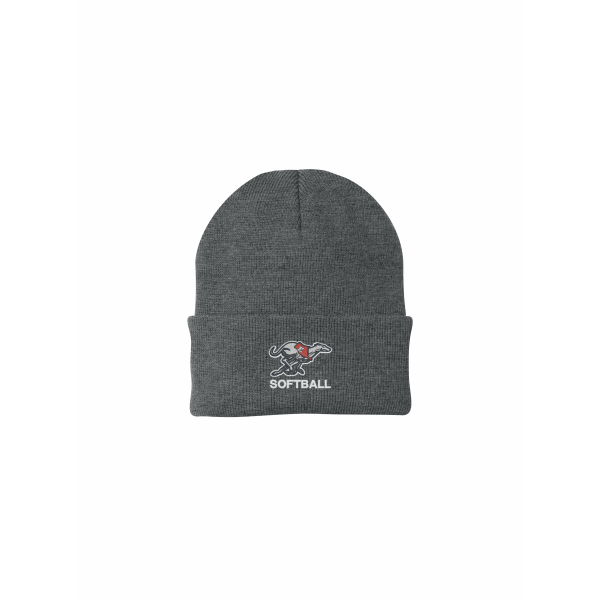 DE Softball - Knit Cap CP90 with embroidered logo