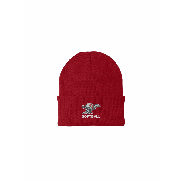 DE Softball - Knit Cap CP90 with embroidered logo