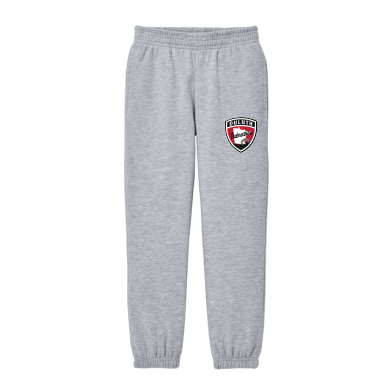 ICEBREAKERS - Youth District® V.I.T.™ Fleece Sweatpant DT6112Y with left leg logo