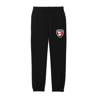 ICEBREAKERS - Youth District® V.I.T.™ Fleece Sweatpant DT6112Y with left leg logo