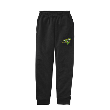 Duluth Heights - YOUTH Port and Co. Core Fleece Jogger PC78YJ with embroidered Hornet